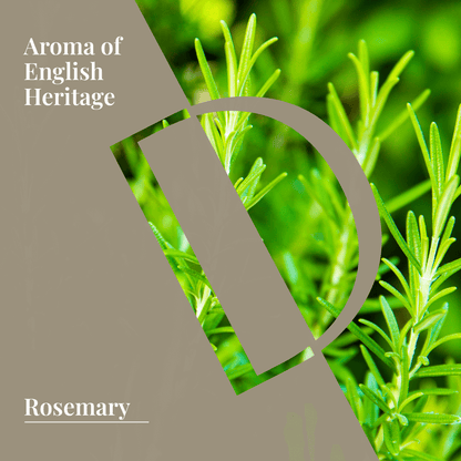 Rosemary Organic Wellness Grade Essential Oil-2