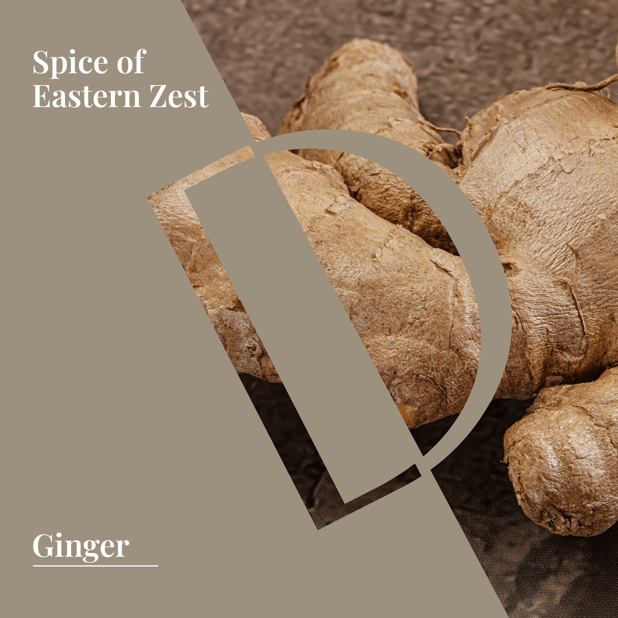 Ginger Organic Wellness Grade Essential Oil-2