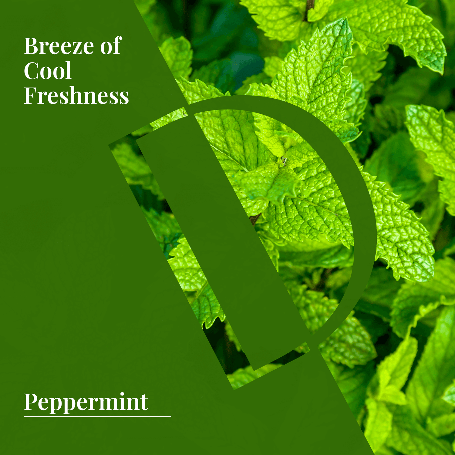 Peppermint Organic Wellness Grade Essential Oil-2