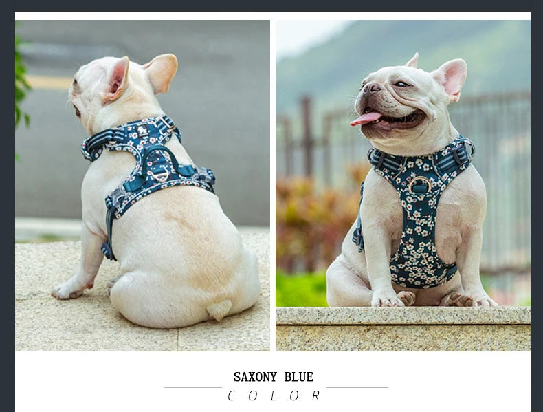 Saxony blue floral no-pull harness on a small dog, front view