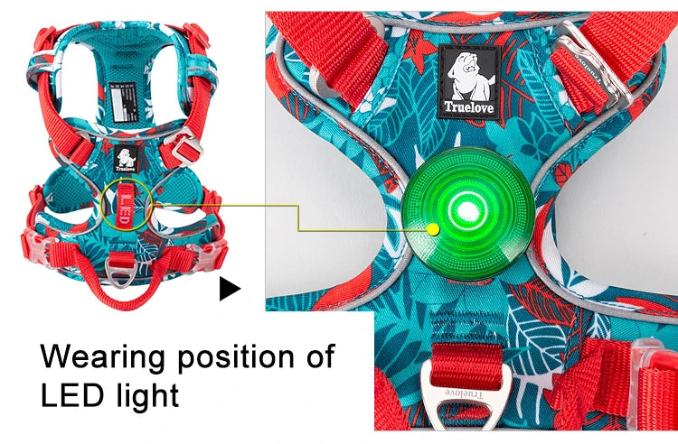 Teal and red reflective dog harness with glowing LED light at the chest