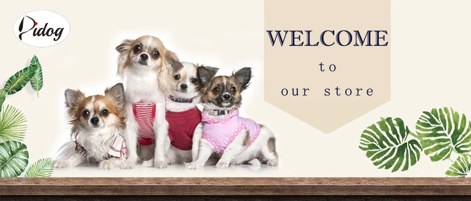 Customized PU Leather Nameplate Dog Collar Soft Padded Dogs Collars Free Engraving Name for Small Medium Large Dogs Adjustable - PrimeNest