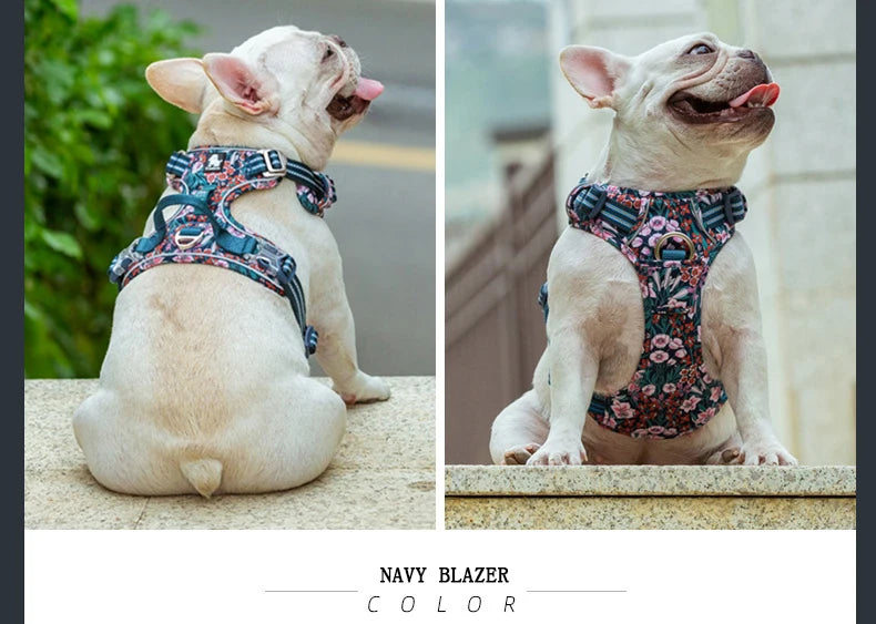 Navy floral no-pull cotton harness on a cat, seated view