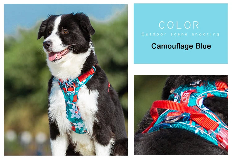Camouflage blue dog harness with red trim and padded chest straps