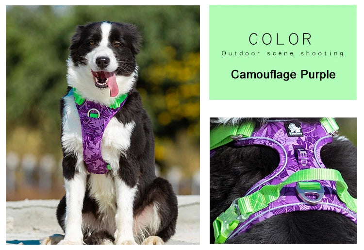 Camouflage purple dog harness with neon green trim and front padding