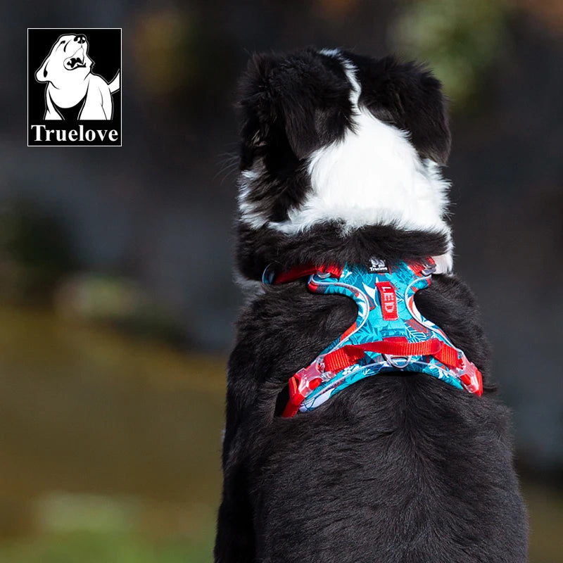 Dog harness in black and white with blue camouflage pattern front