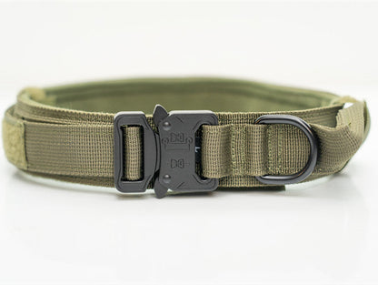 Nylon Pet Collars-1