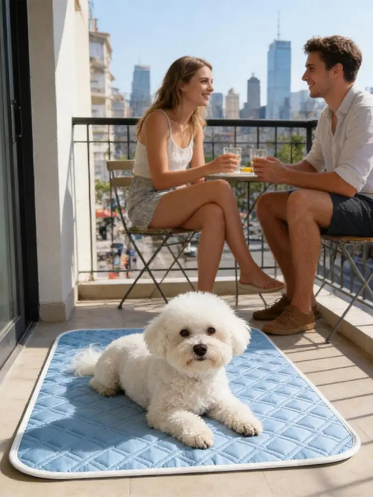 Cooling Pad for Dog Sweat Absorbent Sleeping Rug 45x35cm Soft Self Cooling Pet Mat for Small Medium Large Dog Kitten Crate - PrimeNest