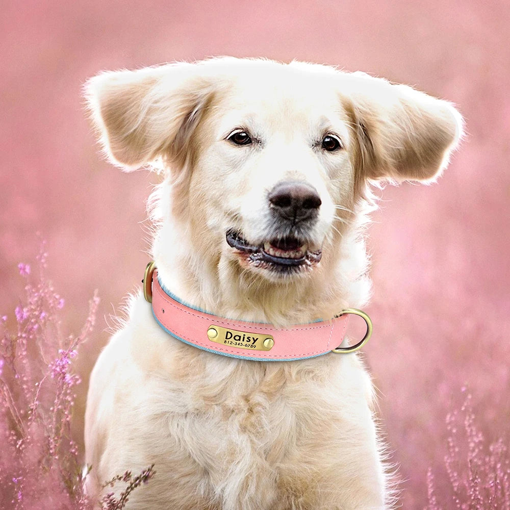 Customized PU Leather Nameplate Dog Collar Soft Padded Dogs Collars Free Engraving Name for Small Medium Large Dogs Adjustable - PrimeNest