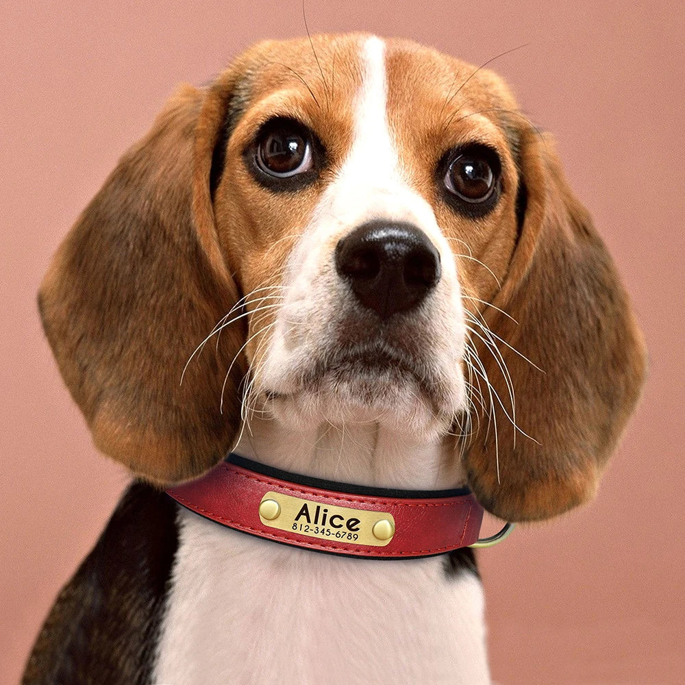 Customized PU Leather Nameplate Dog Collar Soft Padded Dogs Collars Free Engraving Name for Small Medium Large Dogs Adjustable - PrimeNest