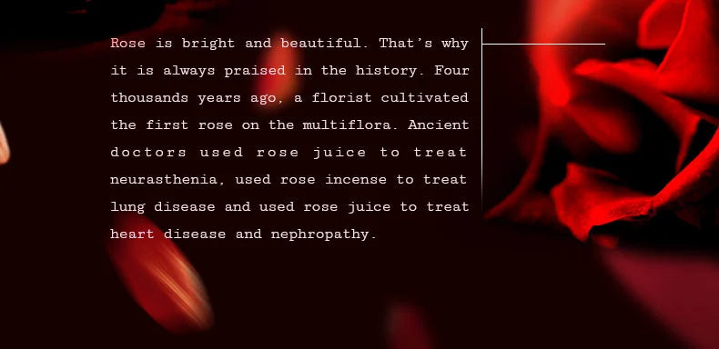 100% Natural Rose Essential Oil 10ml Moisturize and Hydrating Massage oils Skin Care Facial Morocco Pure Rose oil