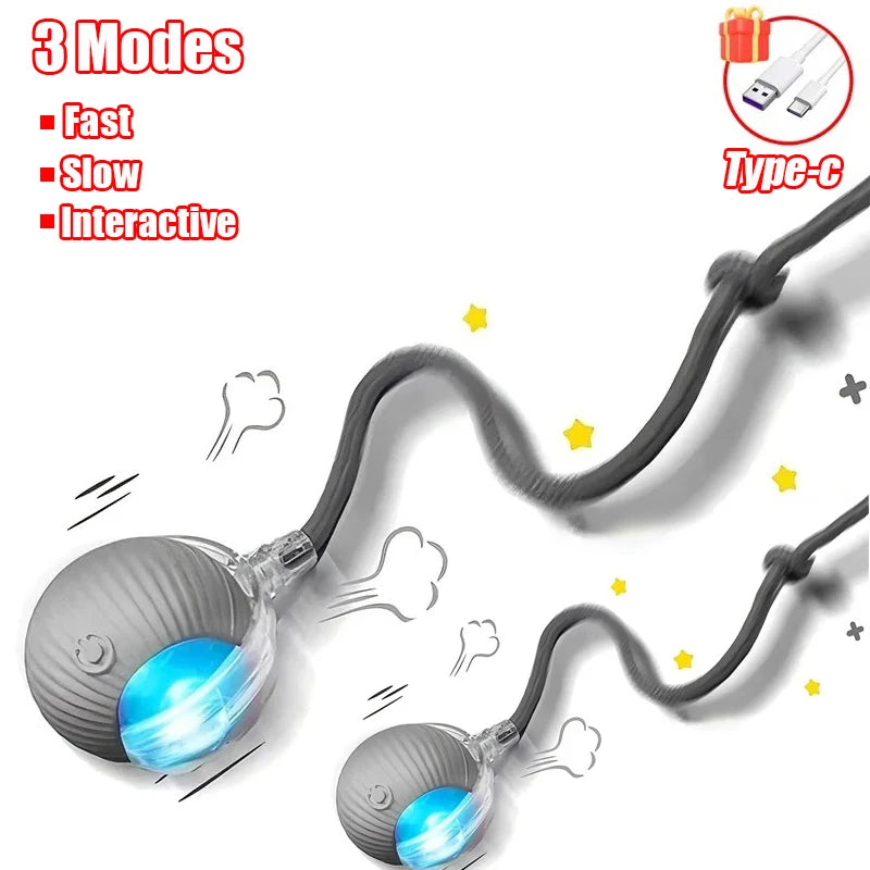 New Cat Interactive Ball Toy Automatic Rolling Ball Faux Tail Rechargeable Smart Pet Electric Toy Dog Cat Training Imitate Mouse - PrimeNest