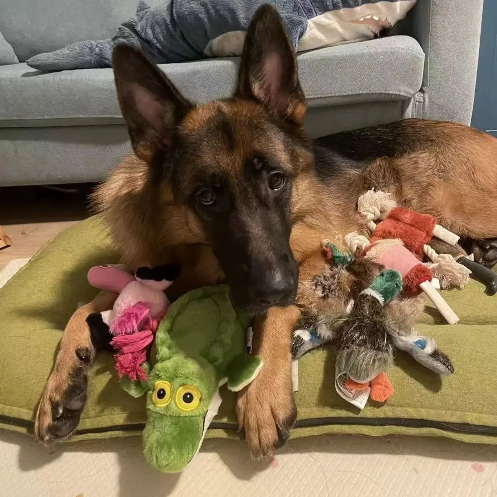 Green plush crocodile dog toy on couch among other stuffed toys