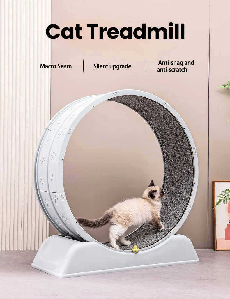 Ultra-Quiet Cat Exercise Wheel Treadmill