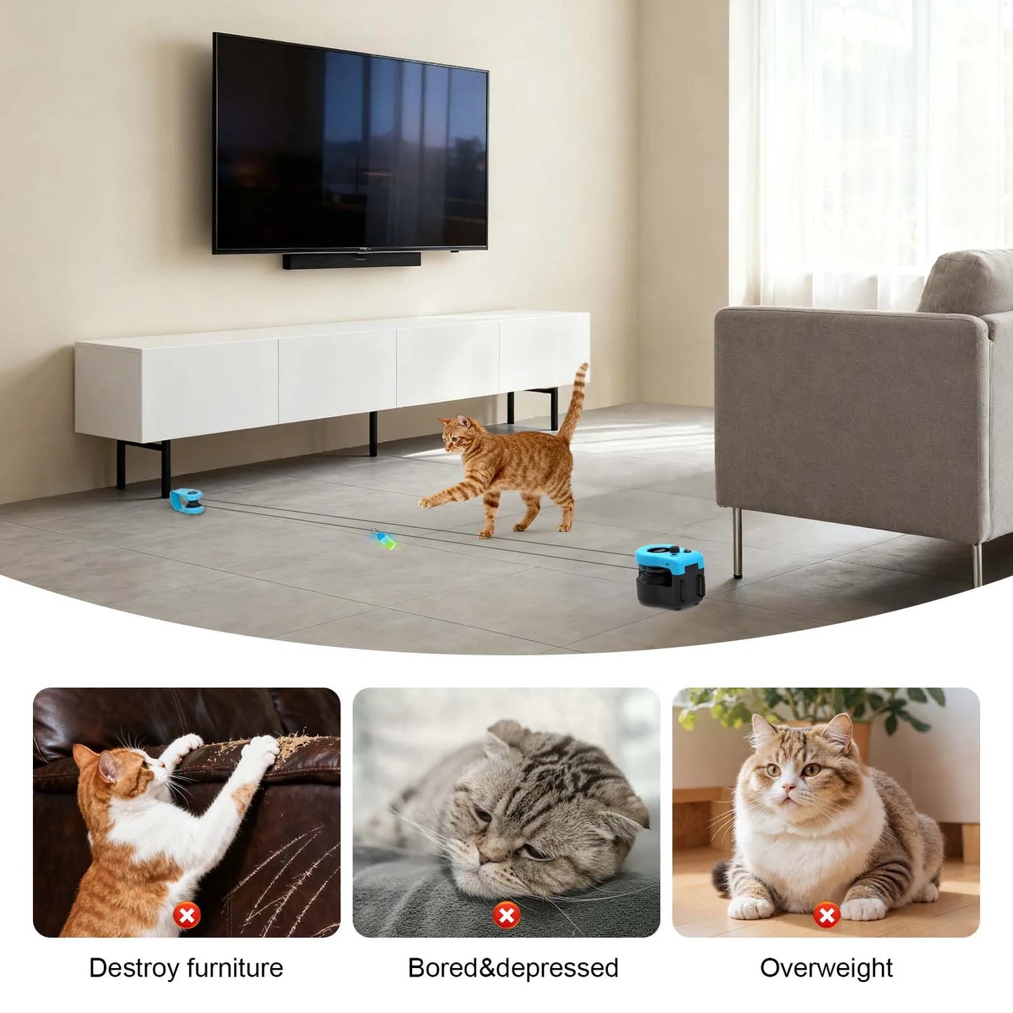 Orange tabby cat playing near a blue interactive treadmill toy on a room floor