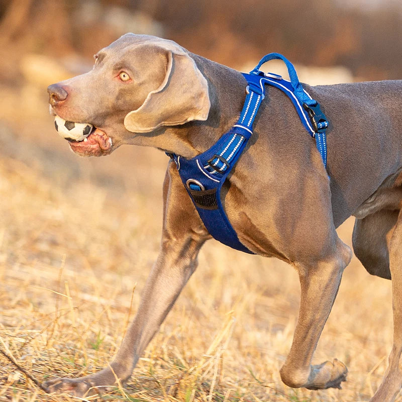 Winhyepet Reflective Dog Harness Vest
