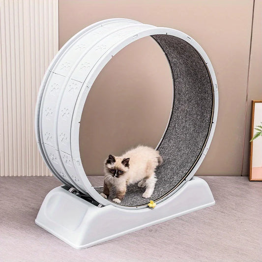 Cat exercise wheel treadmill with light blue frame and dark gray rotating track