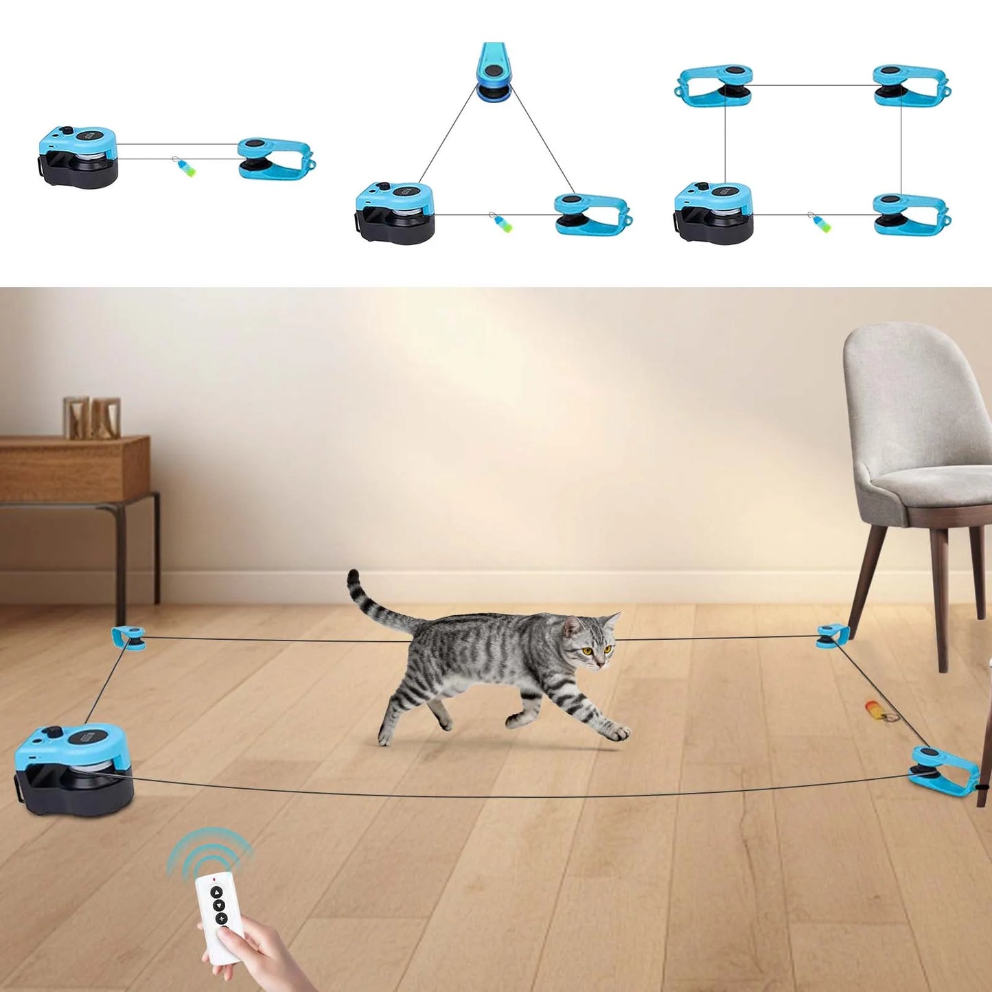 Gray tabby cat on floor with multiple blue interactive treadmill toys positioned around