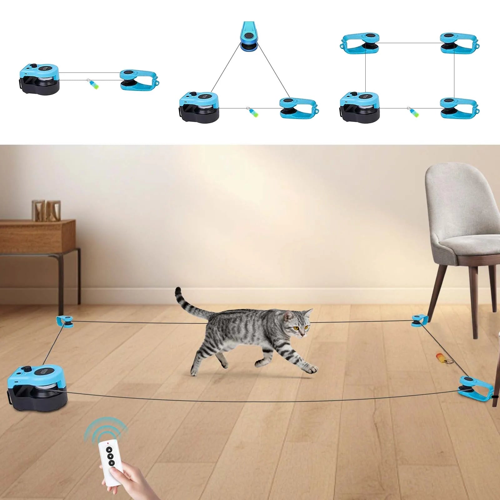 Gray tabby cat on floor with multiple blue interactive treadmill toys positioned around