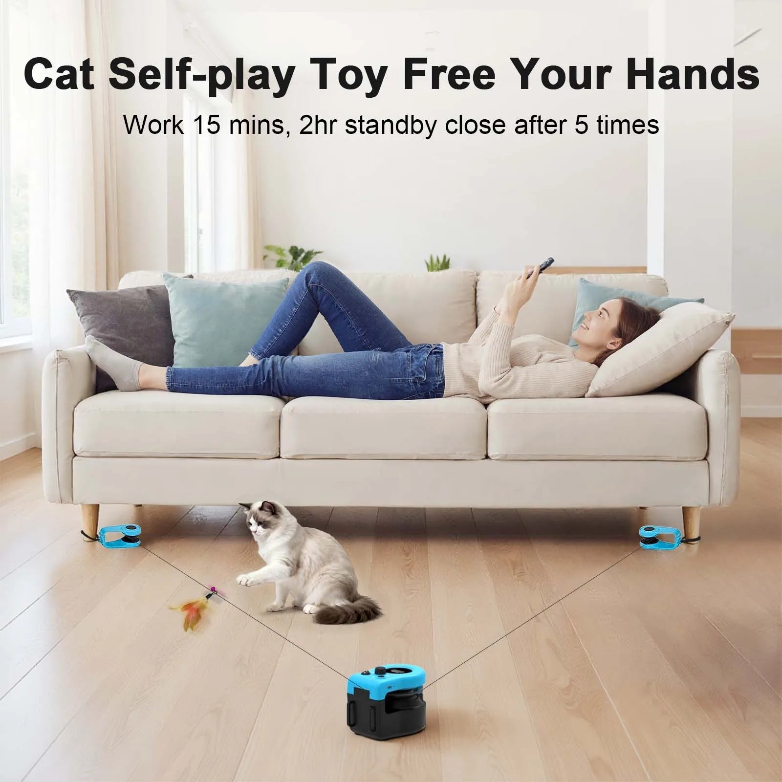 White cat near a blue interactive treadmill toy on a living room floor