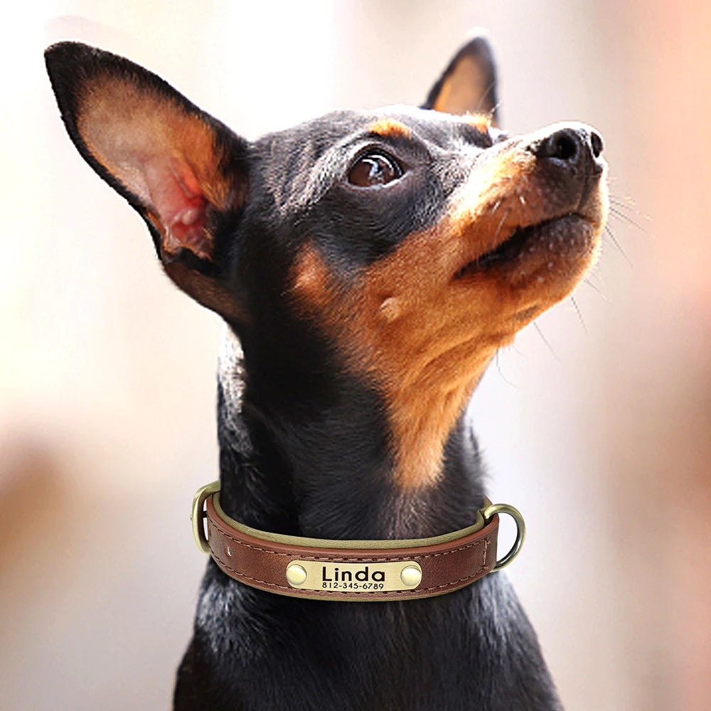 Customized PU Leather Nameplate Dog Collar Soft Padded Dogs Collars Free Engraving Name for Small Medium Large Dogs Adjustable - PrimeNest