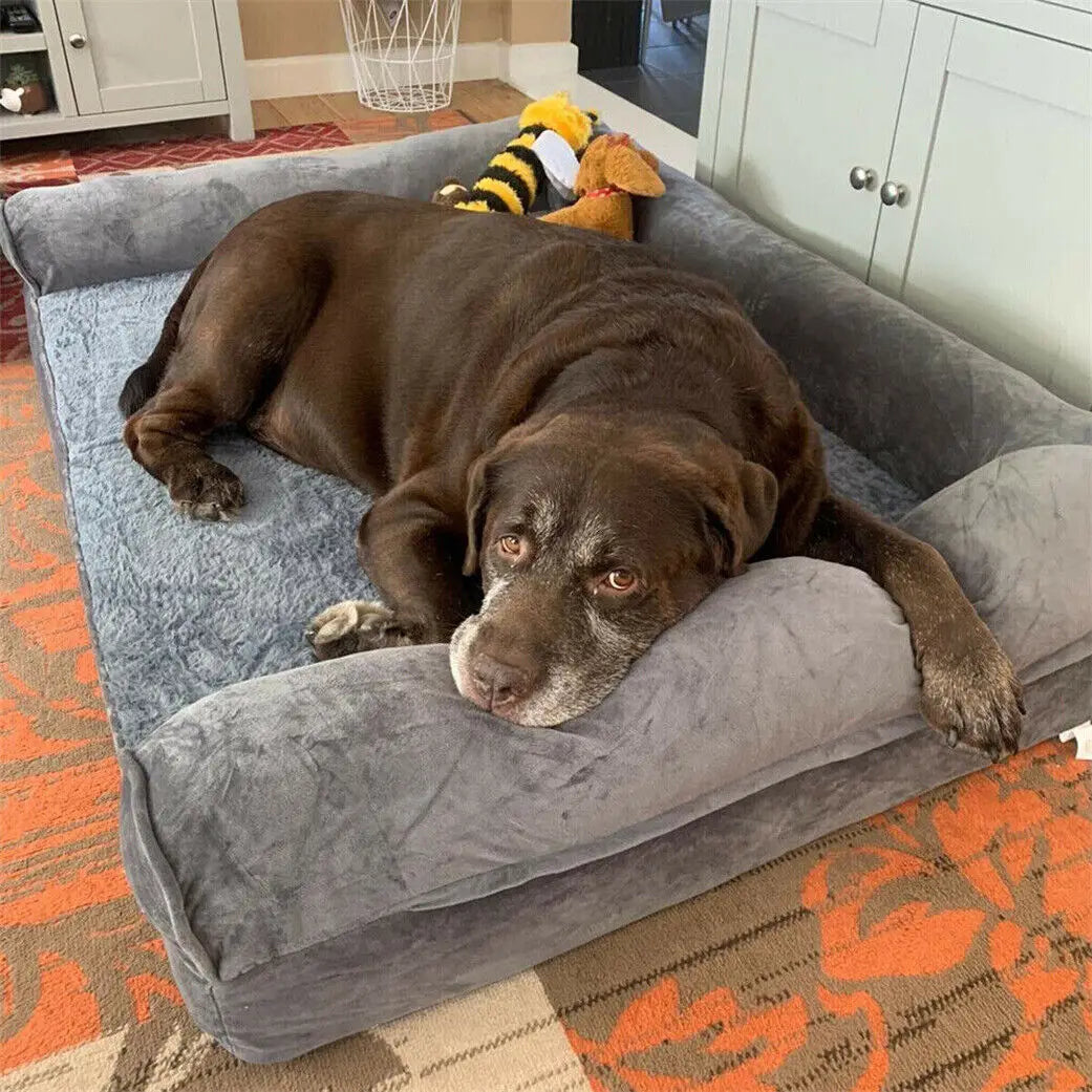 Orthopedic Dog Bed with Washable Cover