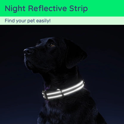 Waterproof Air Tag Dog Collar with AirTag Holder, Reflective Soft Padded &amp; Safety Buckle, AirTag Pet Collar Adjustable for Dogs