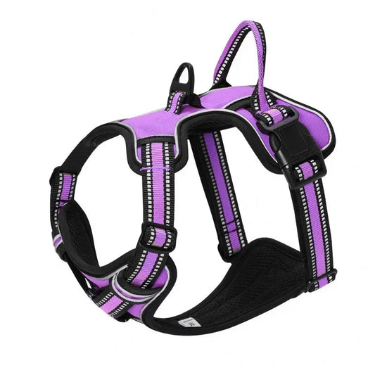 Reflective no-pull dog harness vest in purple with black straps and buckles