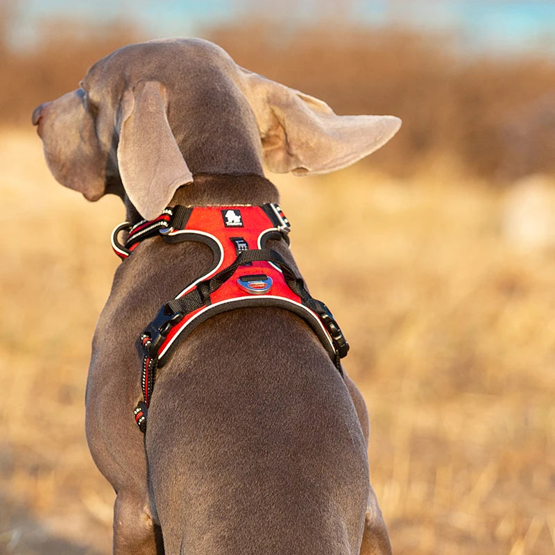 Winhyepet Reflective Dog Harness Vest