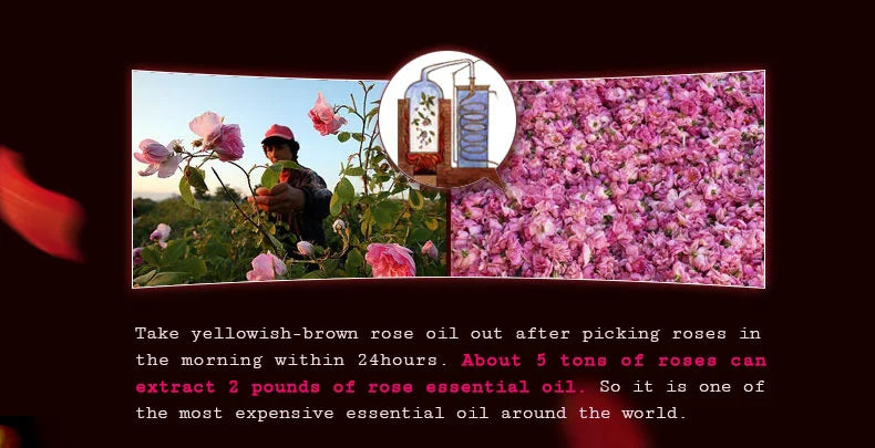 100% Natural Rose Essential Oil 10ml Moisturize and Hydrating Massage oils Skin Care Facial Morocco Pure Rose oil