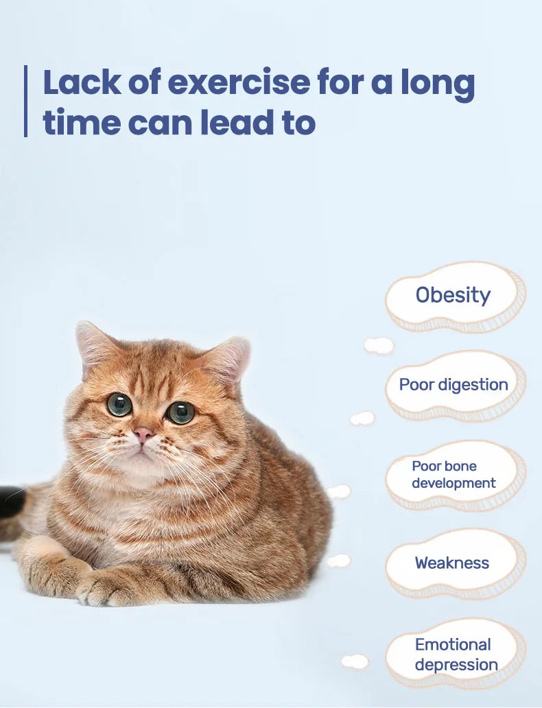 Ultra-Quiet Cat Exercise Wheel Treadmill