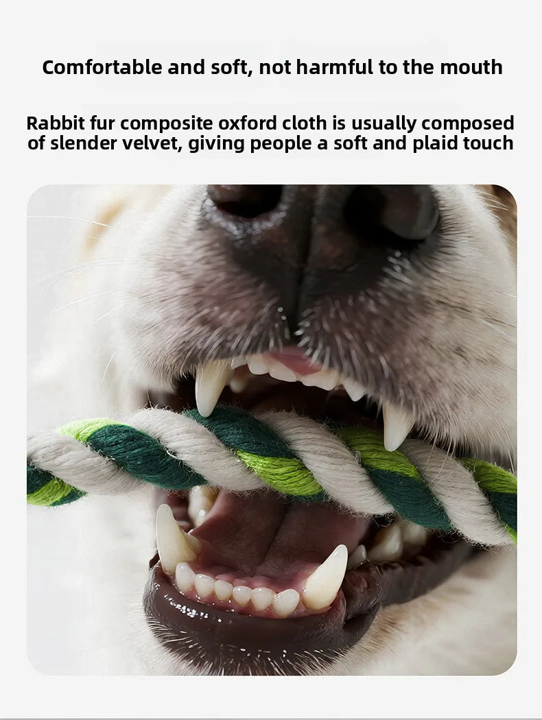 Green plush crocodile dog toy being chewed, with braided rope legs and squeaker