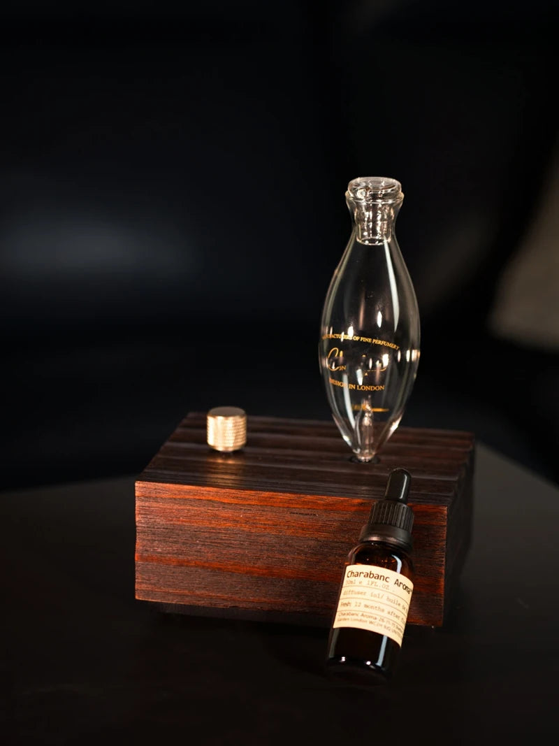 Aroma Diffuser Vintage Tungsten Filament Lamp Aromatherapy Machine Humidifier Lighting Sandalwood Pure Essential Oil Diffuser