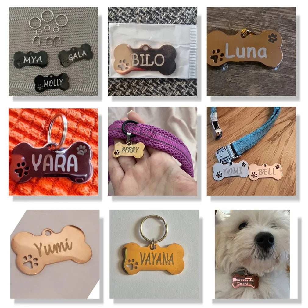 Personalised Stainless Steel Pet ID Tag