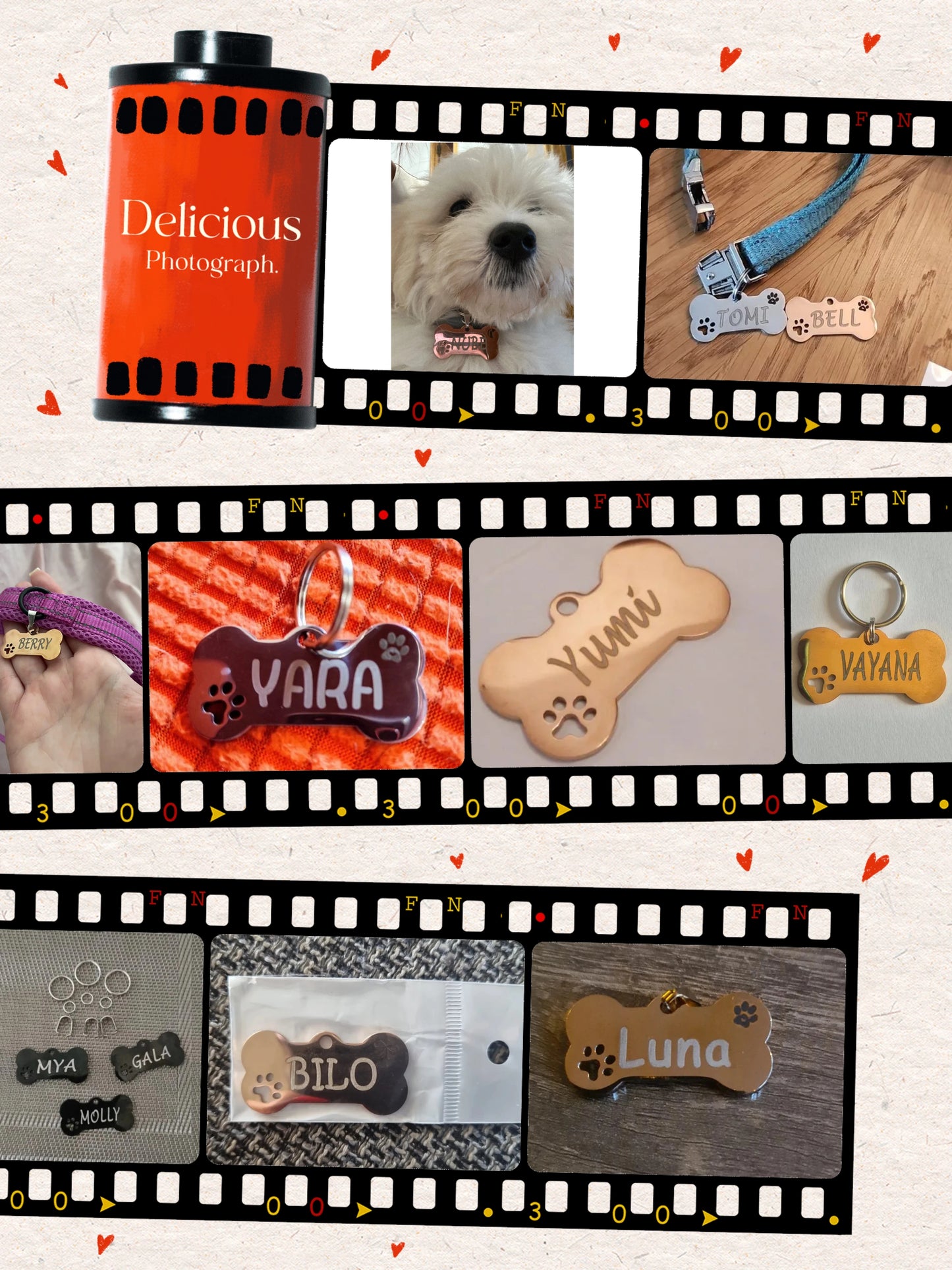 Personalised Stainless Steel Pet ID Tag