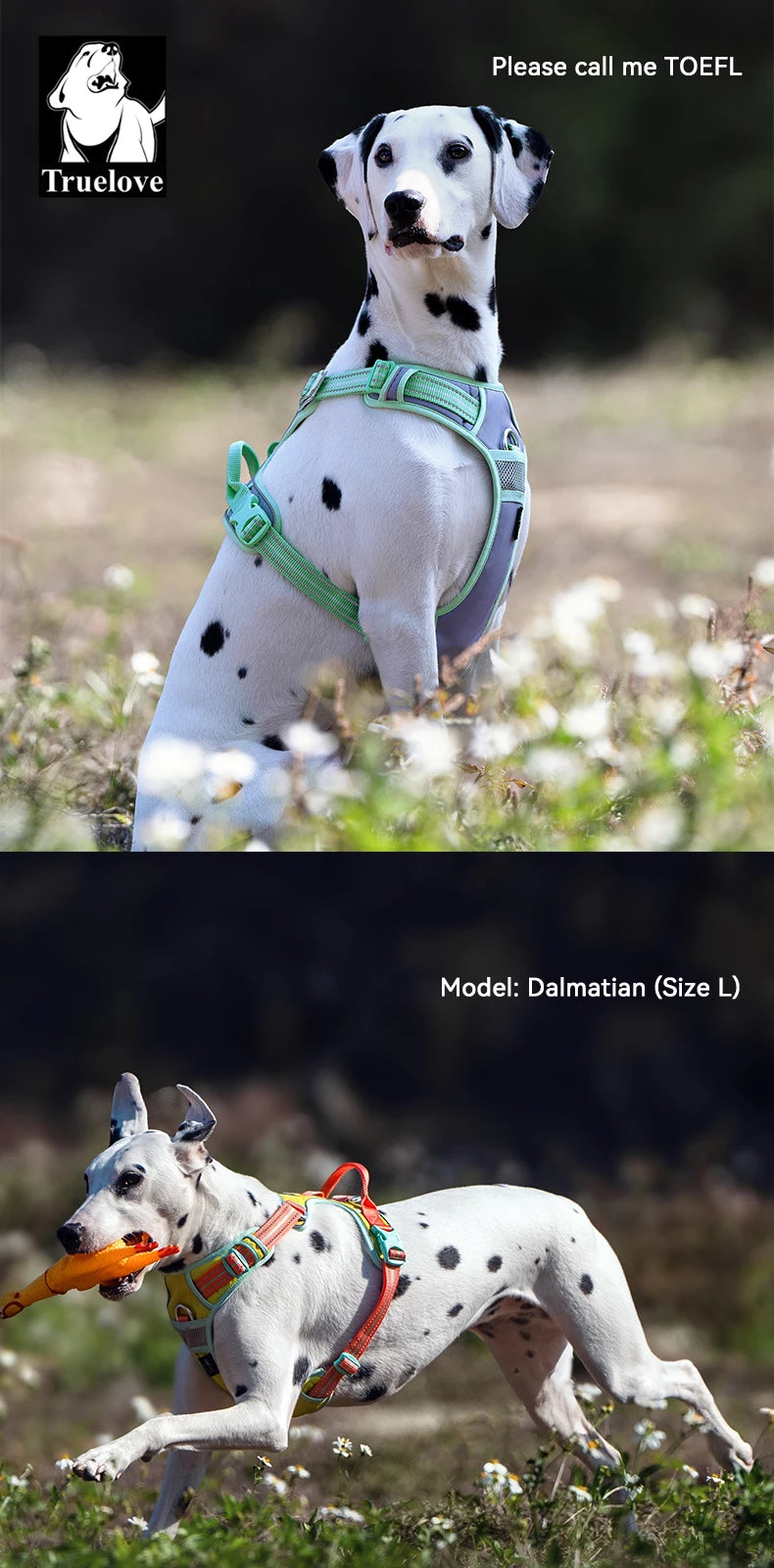 Truelove No-Pull Reflective Dog Harness