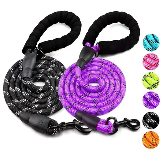 Reflective dog leash with purple coiled rope, black padded handle, and metal clip.