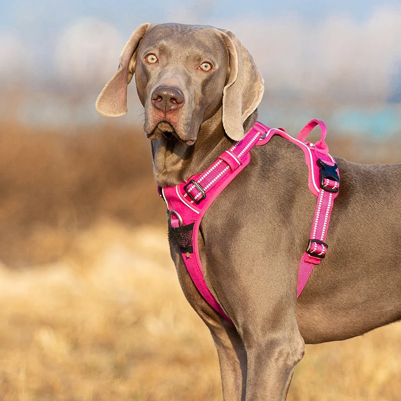 Winhyepet Reflective Dog Harness Vest