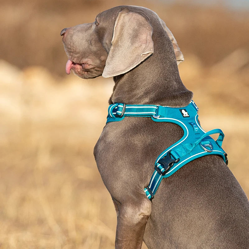 Winhyepet Reflective Dog Harness Vest
