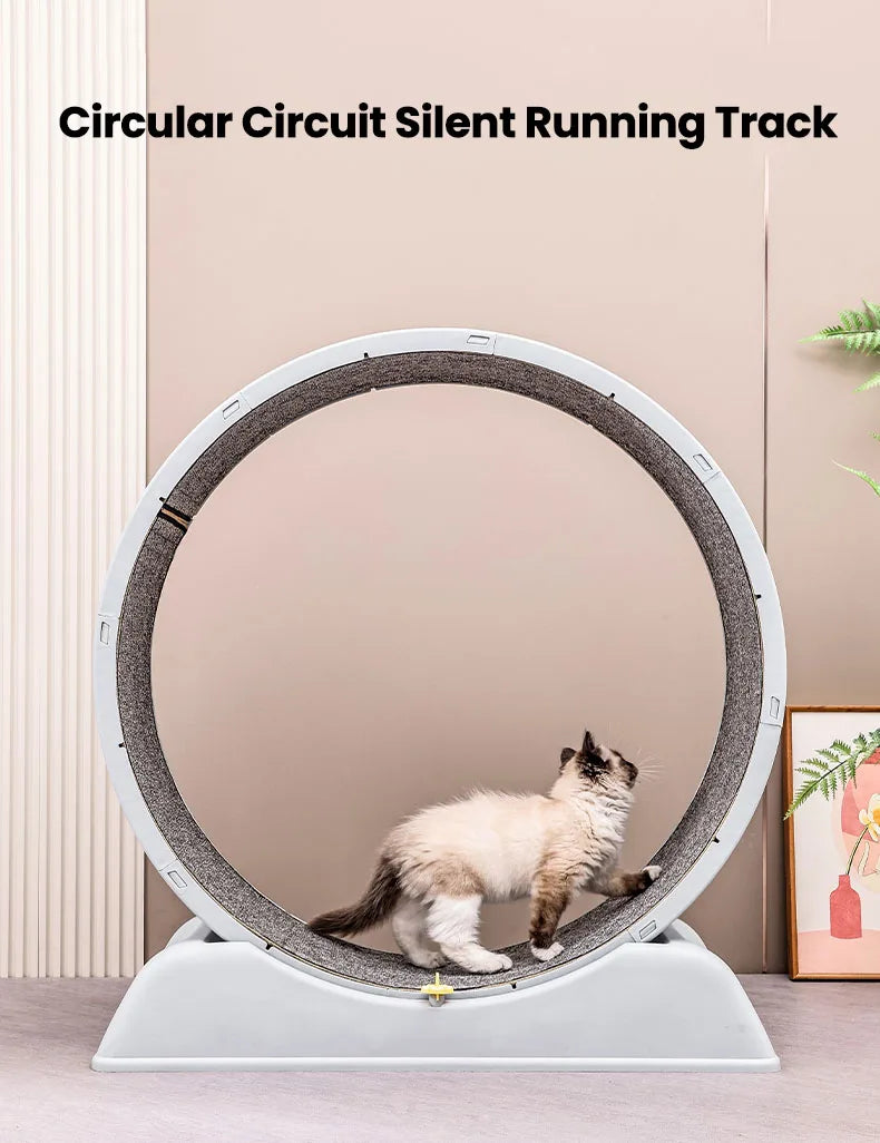 Ultra-Quiet Cat Exercise Wheel Treadmill