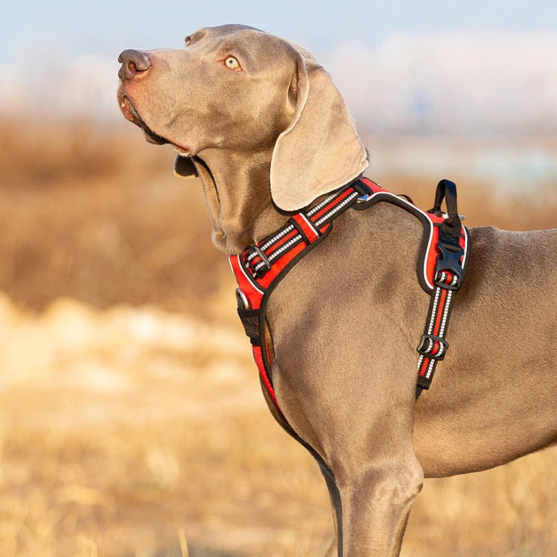 Winhyepet Reflective Dog Harness Vest