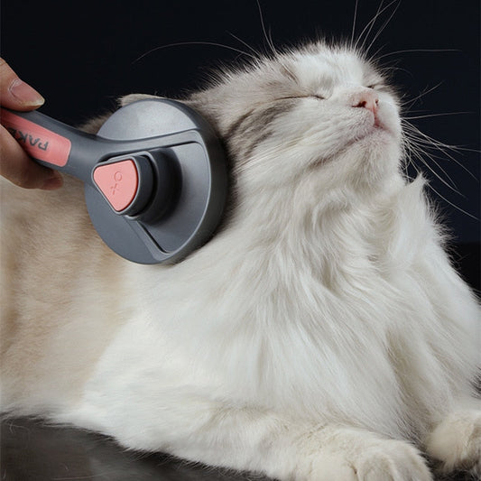 Self-cleaning slicker brush grooming a white cat with handheld bristle head