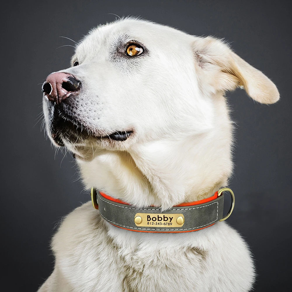 Customized PU Leather Nameplate Dog Collar Soft Padded Dogs Collars Free Engraving Name for Small Medium Large Dogs Adjustable - PrimeNest