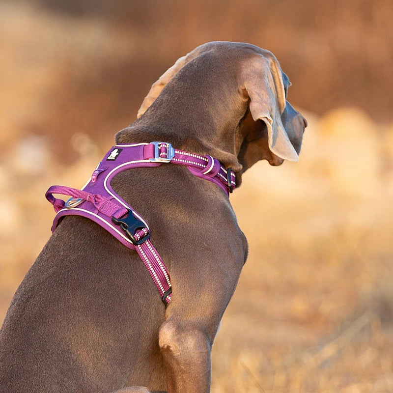 Winhyepet Reflective Dog Harness Vest