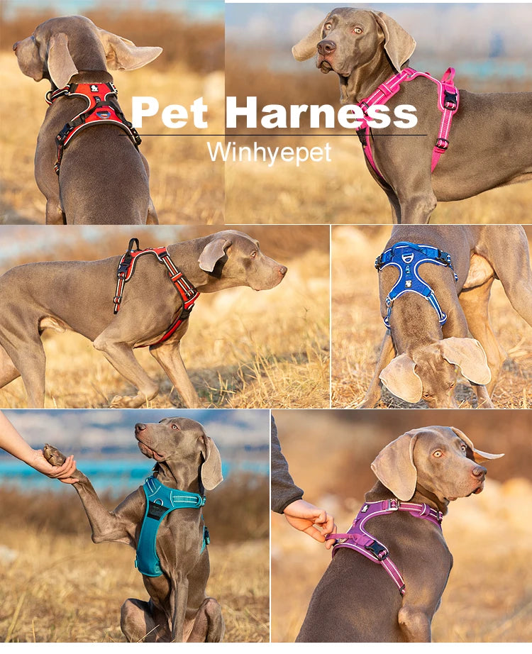 Winhyepet Reflective Dog Harness Vest