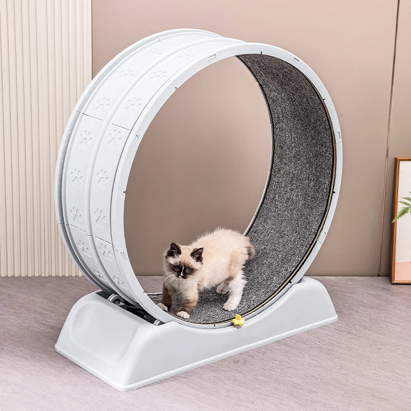Ultra-Quiet Cat Exercise Wheel Treadmill