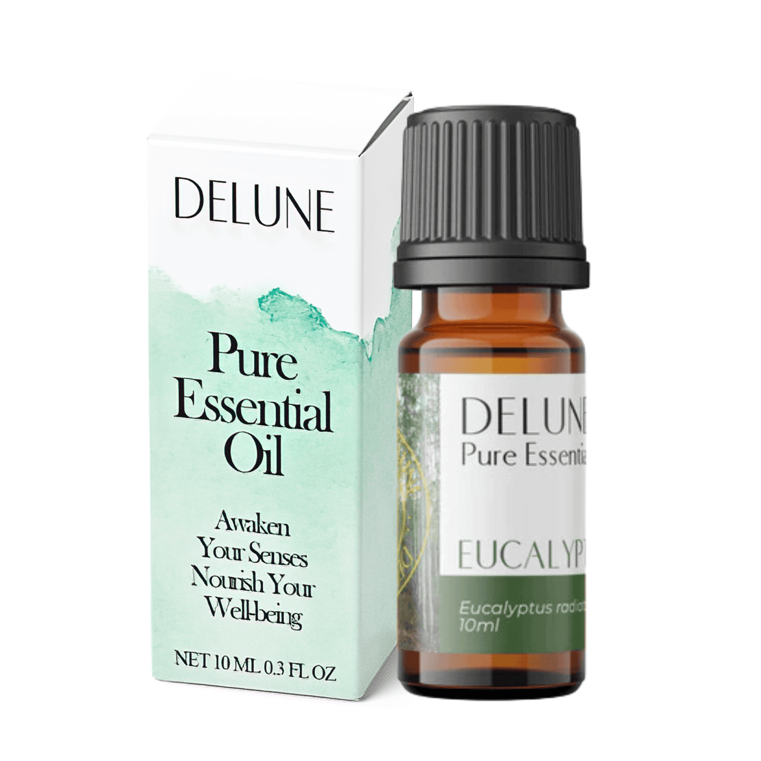 Eucalyptus (Radiata) Pure Essential Oil-0
